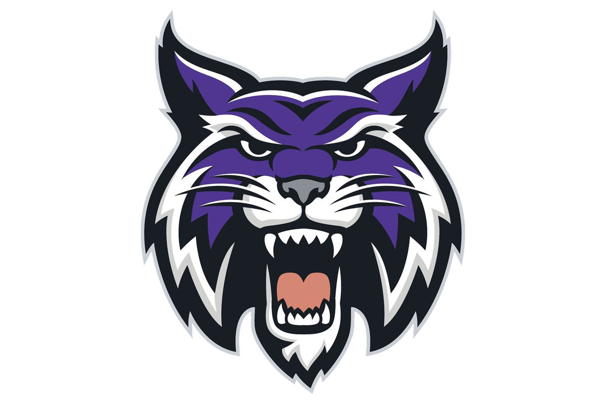 Hallsville band